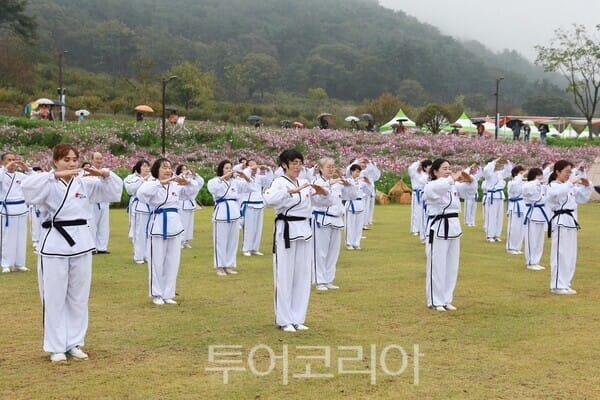 화순 고인돌 가을꽃 축제서 42개국 평화지도 퍼레이드